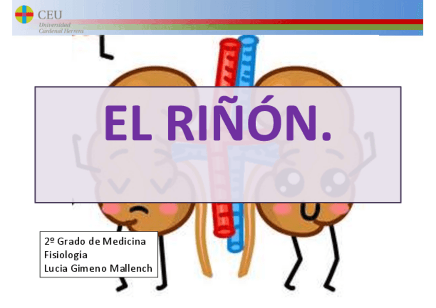 Miniatura del documento SOL-problemas-renal.pdf