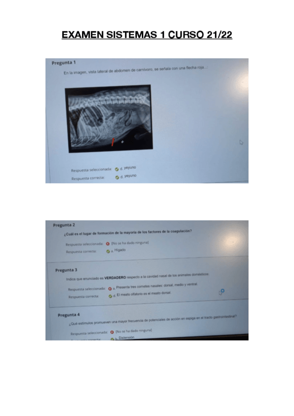 Miniatura del documento EXAMEN-SISTEMAS-1-CURSO-21-22-.pdf