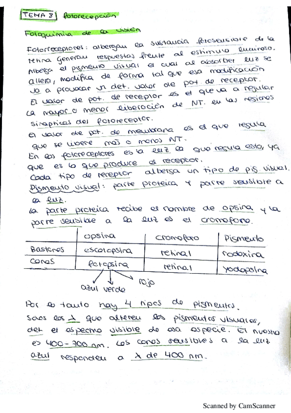 Miniatura del documento t8 fotorecepcion.pdf