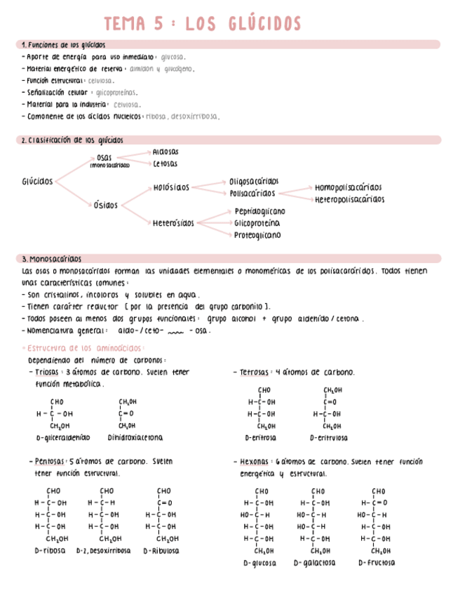 Miniatura del documento TEMA-5-LOS-GLUCIDOS.pdf