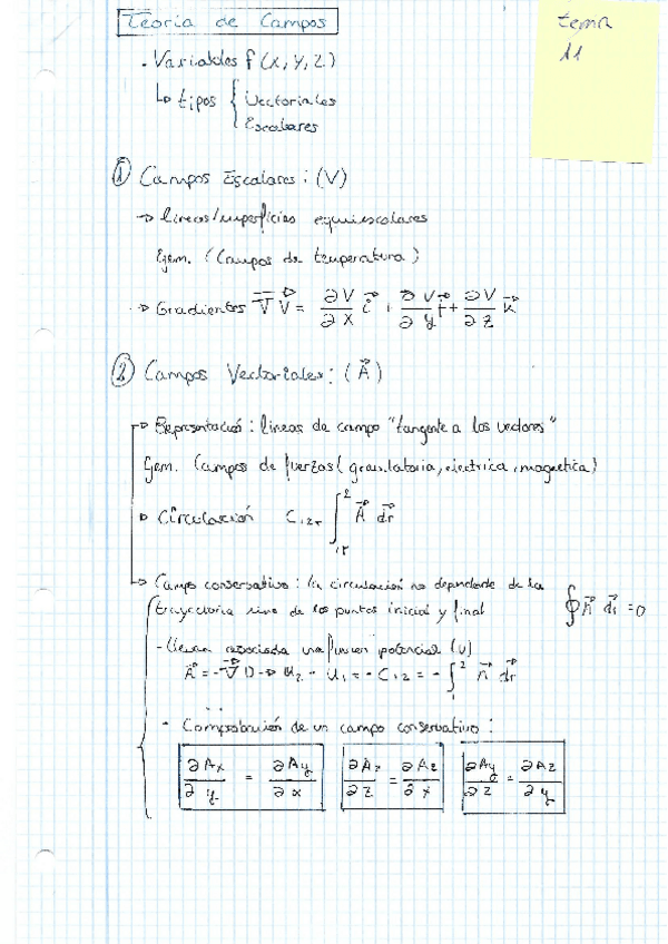 Miniatura del documento TEMA-11-CAMPOS.pdf