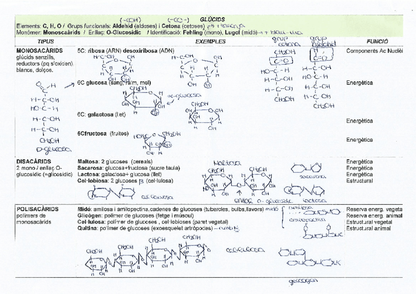 Miniatura del documento Deures estiu de 2nBatx