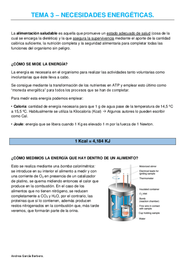 Miniatura del documento TEMA 3 - NECESIDADES ENERGÉTICAS.pdf