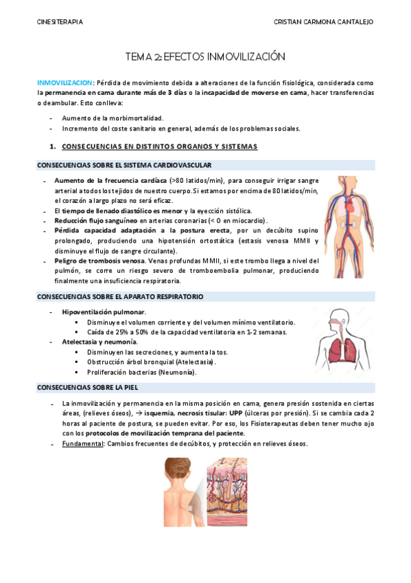 Miniatura del documento TEMA-2-EFECTOS-DE-LA-INMOVILIZACION.pdf