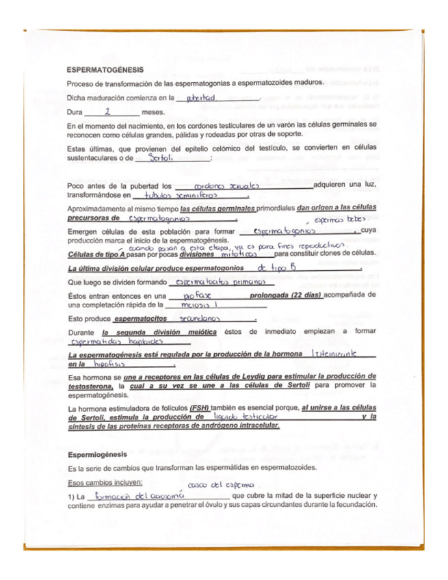 Miniatura del documento Gametogenia-Testiculo-Y-Ovario.pdf
