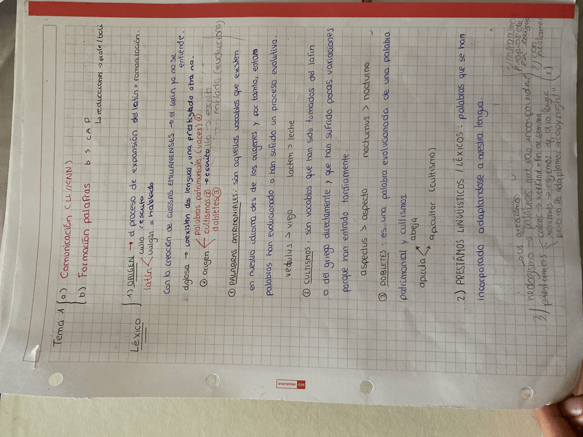 Miniatura del documento image.jpg