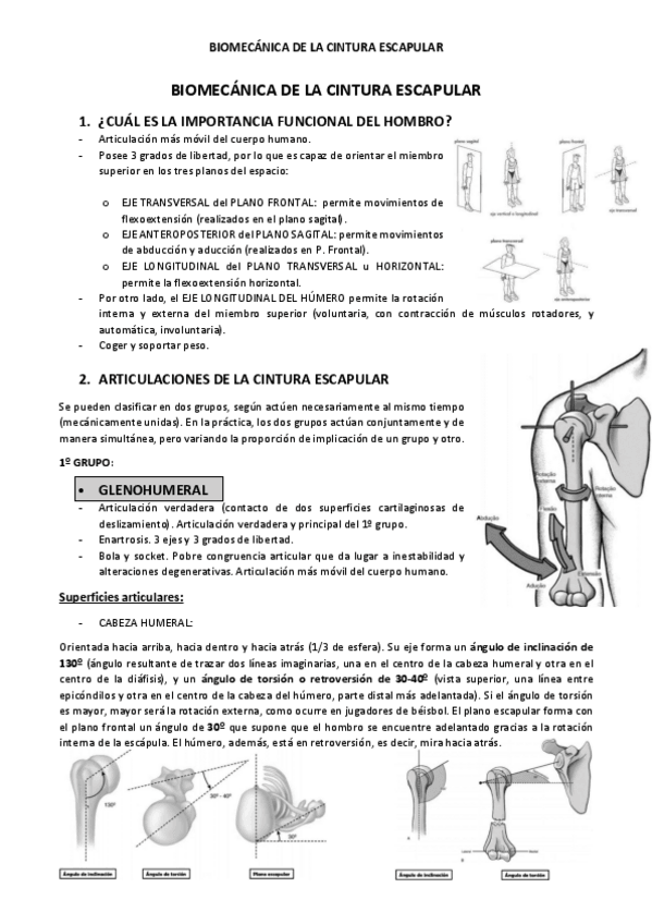 Miniatura del documento Biomecanica-de-la-Cintura-Escapular-Resumen.pdf