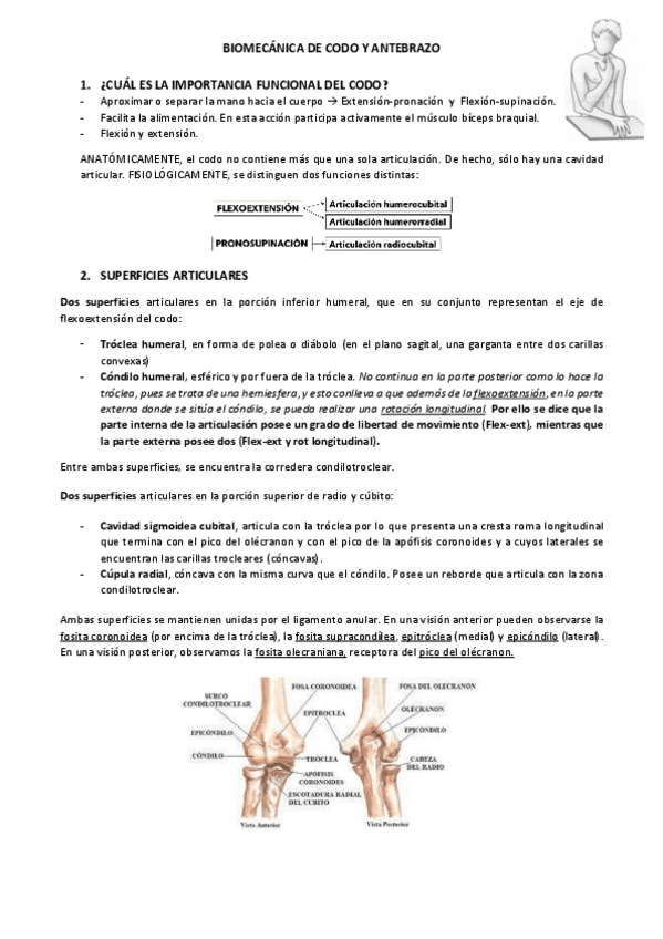 Miniatura del documento Biomecanica-del-codo-y-el-antebrazo-Resumen.pdf