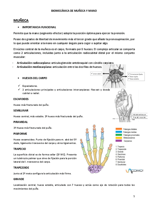 Miniatura del documento Muneca-y-mano.pdf