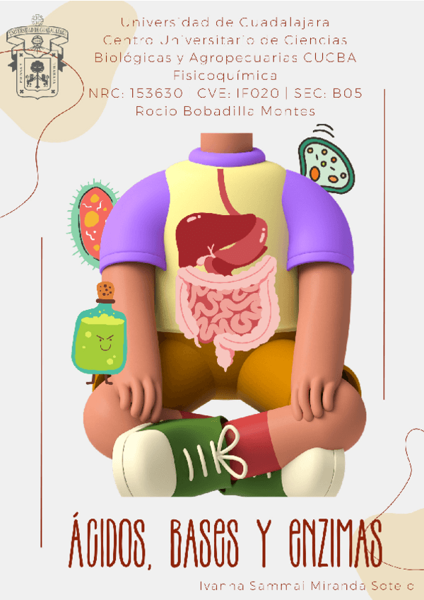 Miniatura del documento Fisicoquimica-Proyecto-Final-1.pdf