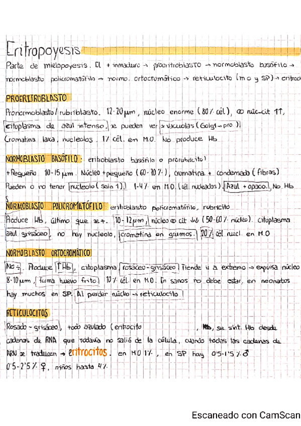 Miniatura del documento 5-Fisiologia-y-morfologia-del-hematie.pdf