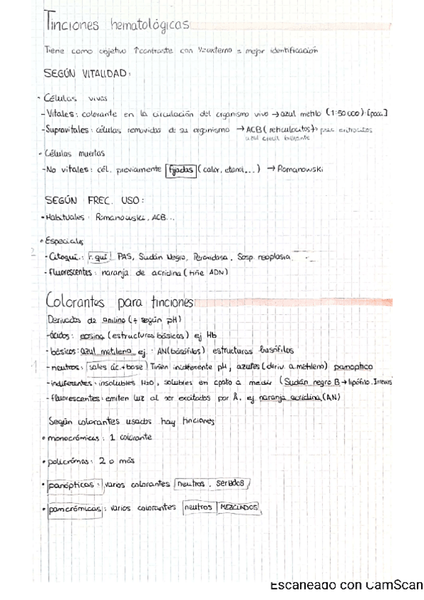 Miniatura del documento 4-Tinciones-hematologicas.pdf