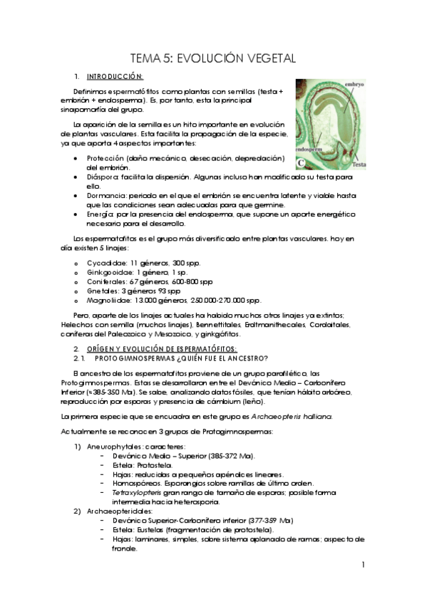 Miniatura del documento TEMA-5.pdf