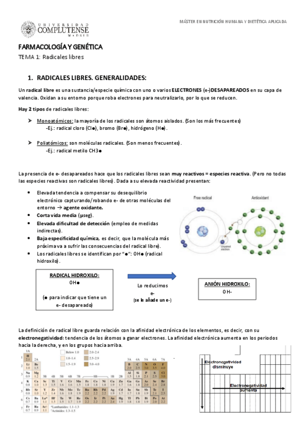 Miniatura del documento TEMA-1APUNTES-pdf.pdf