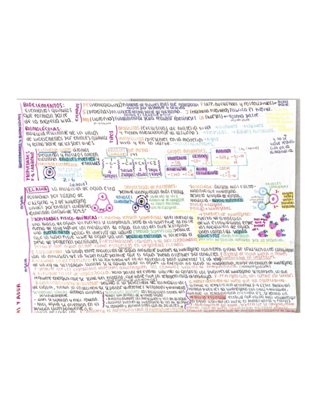Miniatura del documento Bioelementos-y-agua.pdf