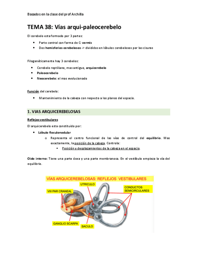 Miniatura del documento TEMA-38-vias arquipaleocerebelo.pdf