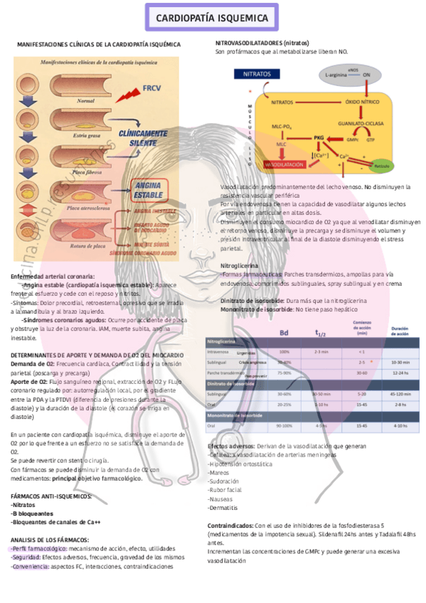 Miniatura del documento CARDIO-1-CARDIOPATIA-ISQUEMICAwatermark.pdf