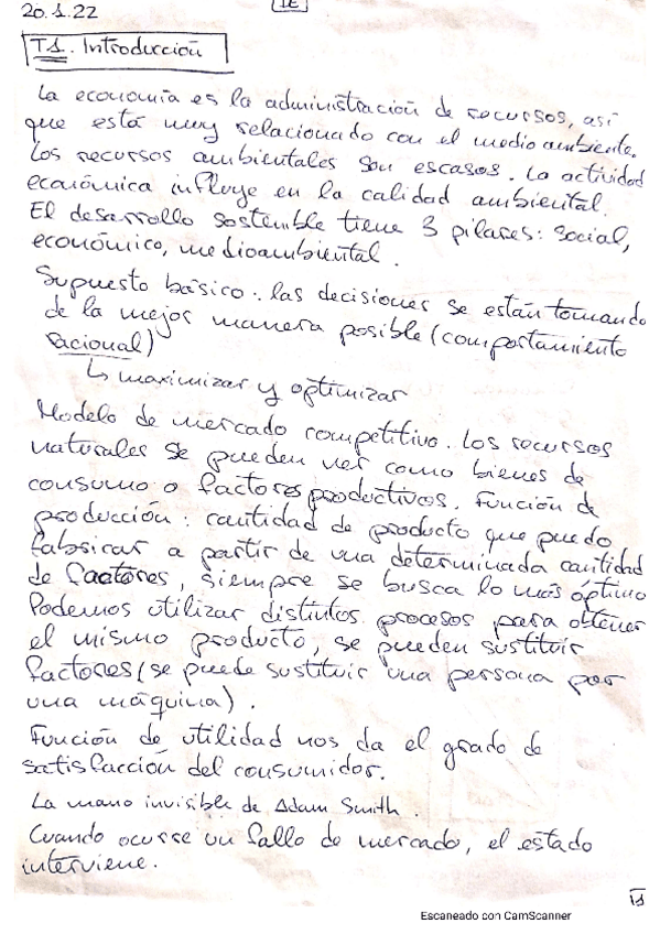 Miniatura del documento ApuntesIE-1.pdf