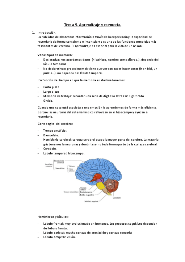 Miniatura del documento Tema-9-Aprendizaje-y-memoria.pdf