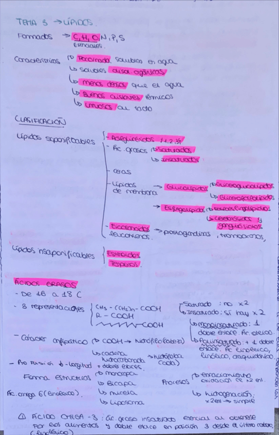 Miniatura del documento TEMA-3-LIPIDOS.pdf