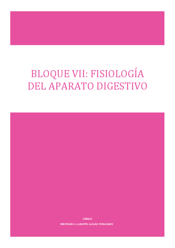 Miniatura del documento BLOQUE-VII.pdf