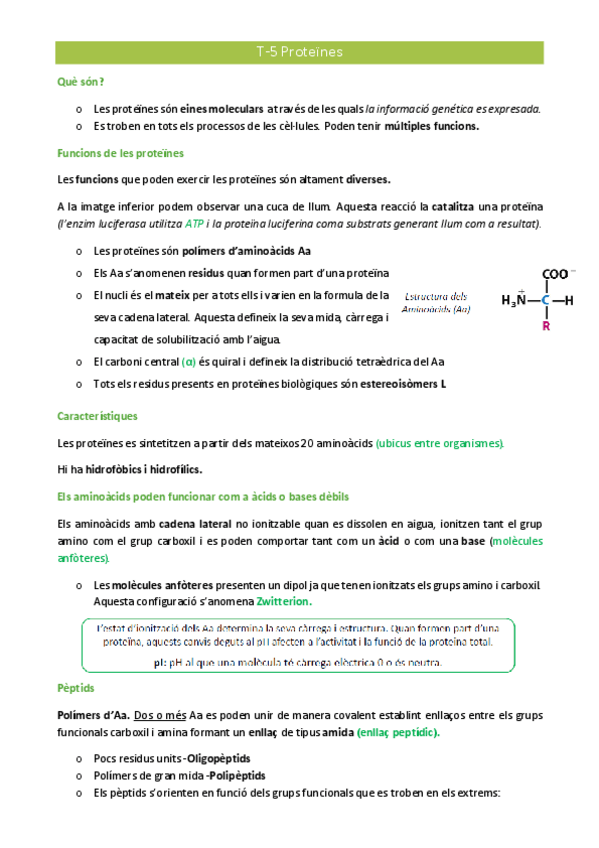 Miniatura del documento T-5.pdf