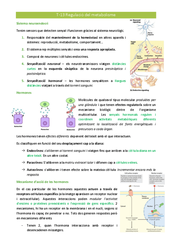 Miniatura del documento T-13.pdf
