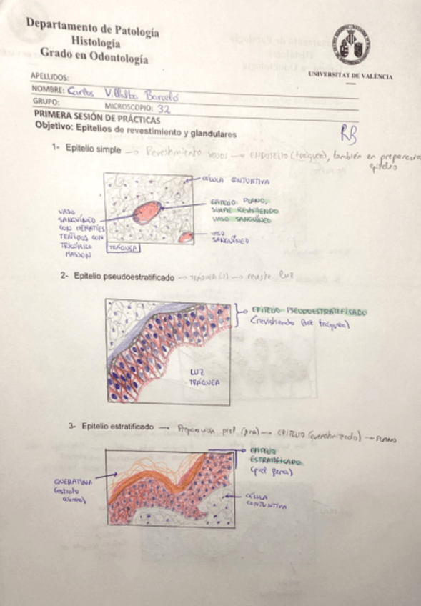 Miniatura del documento PRACTICAS-HISTOLOGIA-.pdf