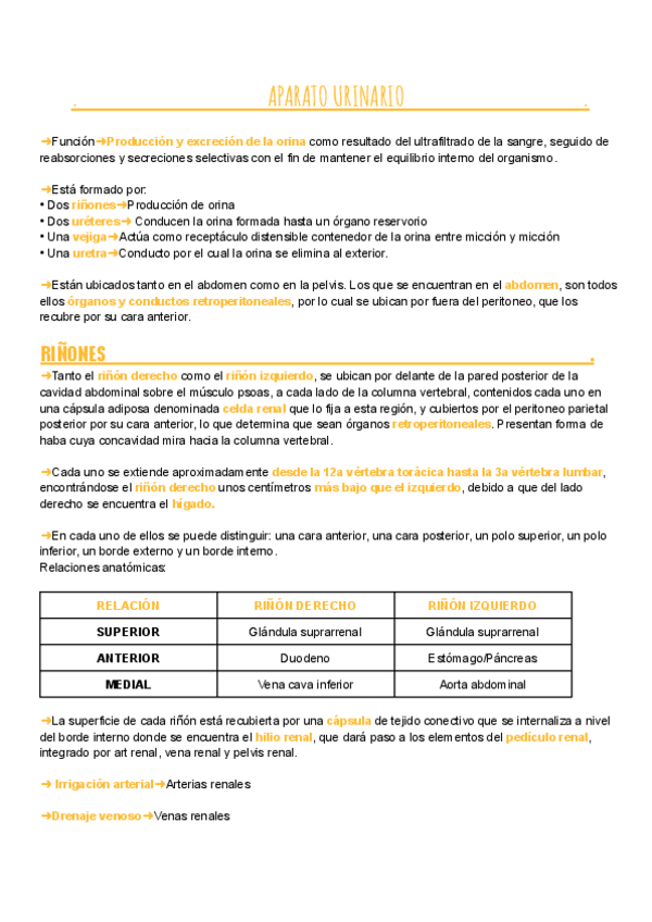 Miniatura del documento Seminario-Aparato-Urinario.pdf