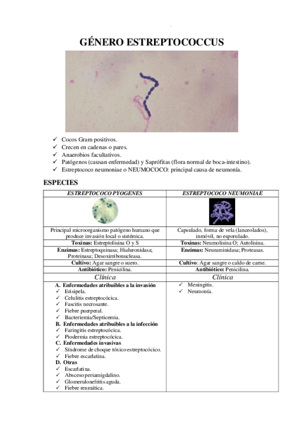 Miniatura del documento GENERO-ESTREPTOCOCCUS.pdf