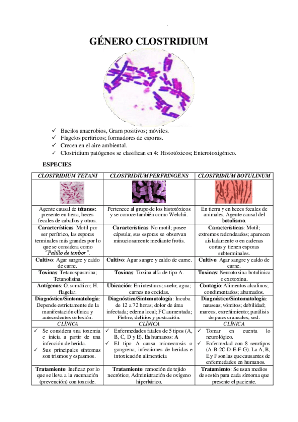 Miniatura del documento GENERO-CLOSTRIDIUM.pdf