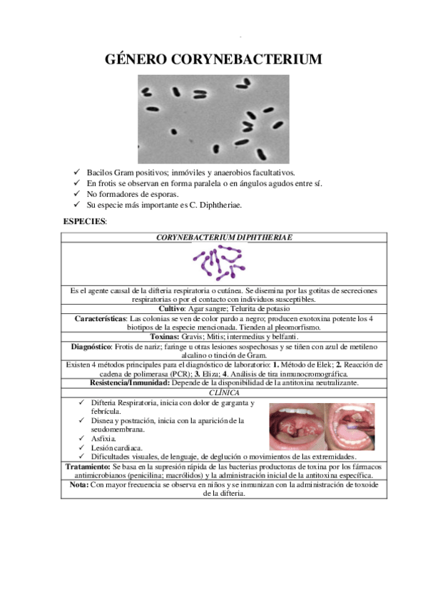 Miniatura del documento GENERO-CORYNEBACTERIUM.pdf