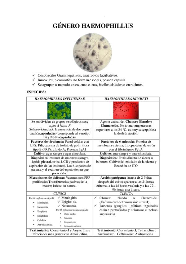 Miniatura del documento GENERO-HAEMOPHILLUs.pdf