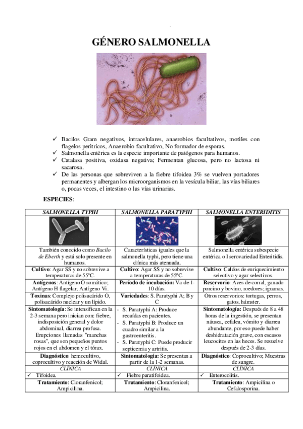Miniatura del documento GENERO-SALMONELLA.pdf