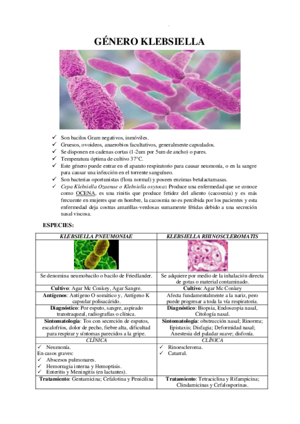 Miniatura del documento GENERO-KLEBSIELLA.pdf