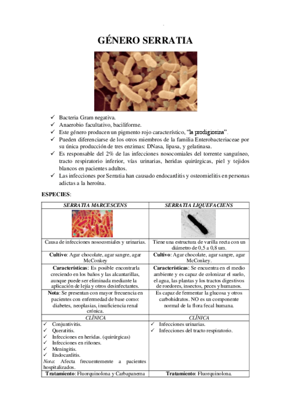 Miniatura del documento GENERO-SERRATIA.pdf