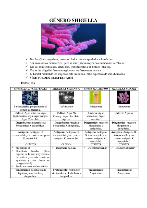 Miniatura del documento GENERO-SHIGELLA.pdf