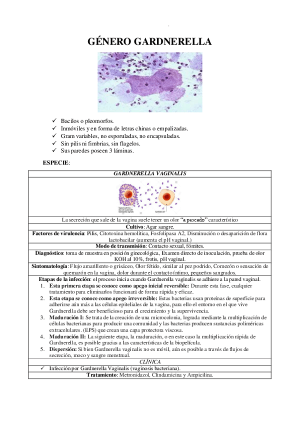 Miniatura del documento GENERO-GARDNERELLA.pdf