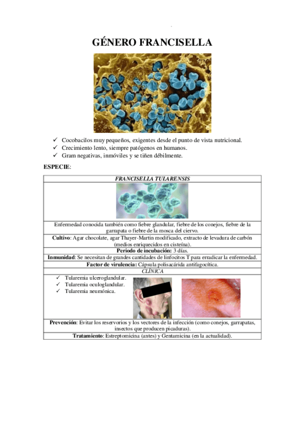 Miniatura del documento GENERO-FRANCISELLA.pdf