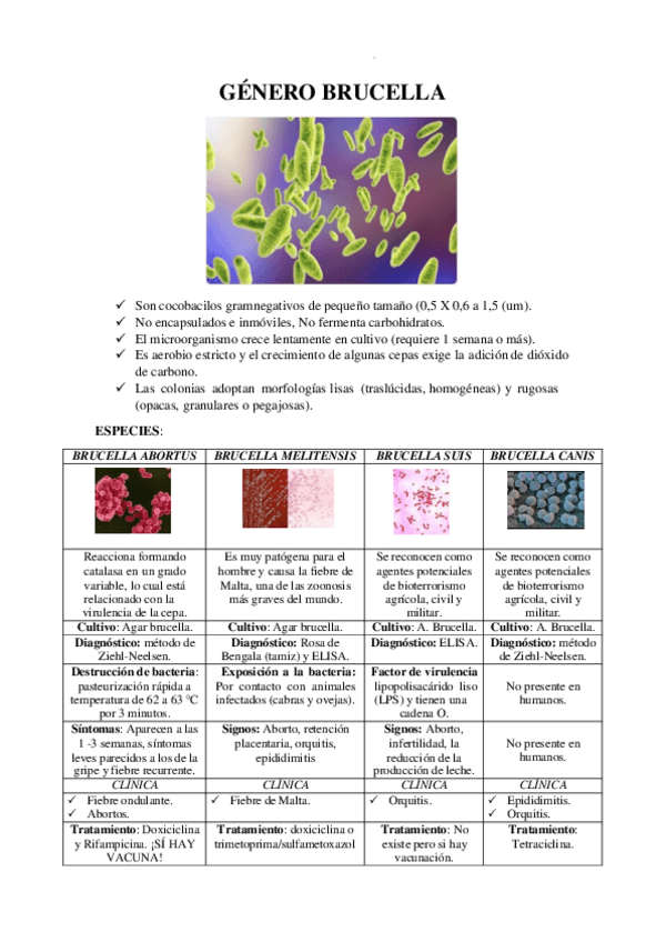 Miniatura del documento GENERO-BRUCELLA.pdf