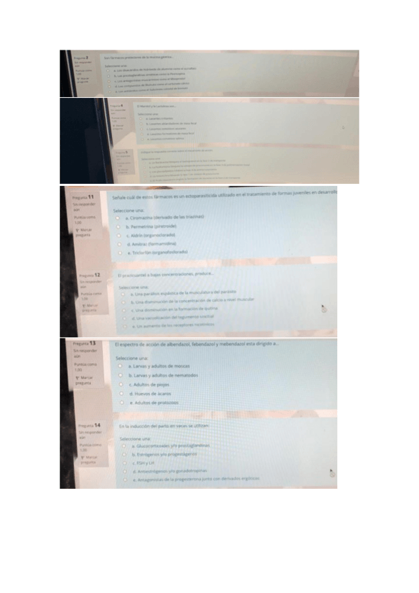 Miniatura del documento FOTOS 2º PARCIAL.pdf