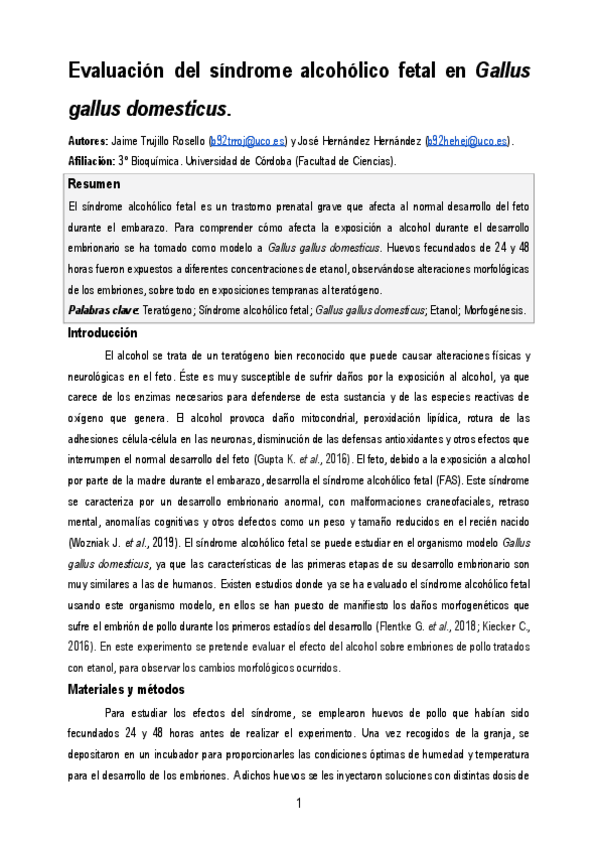 Miniatura del documento Memoria-FAS.pdf