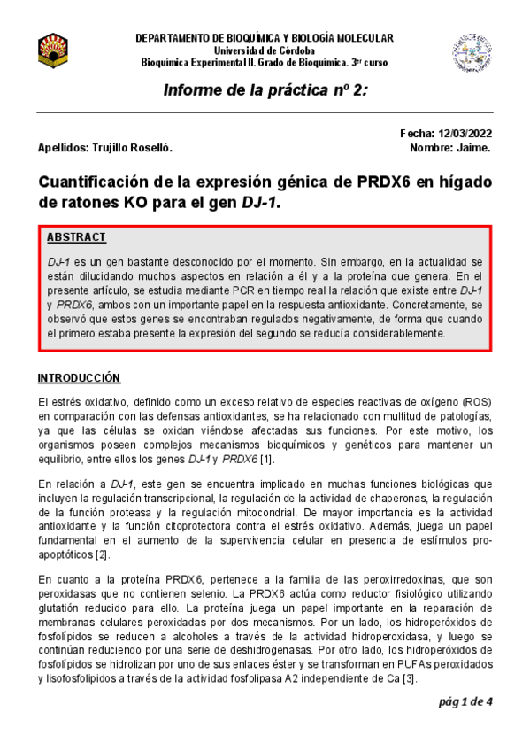 Miniatura del documento Memoria-PL2.pdf