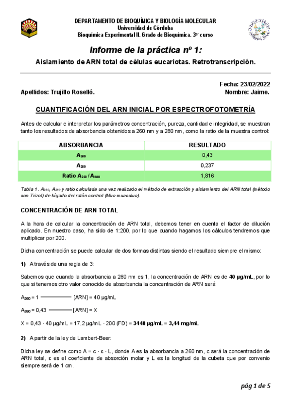Miniatura del documento Memoria-PL1.pdf