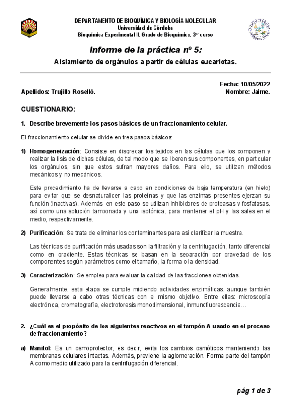 Miniatura del documento Memoria-PL5.pdf