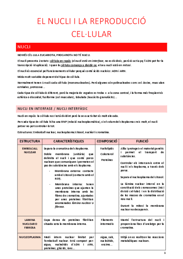 Miniatura del documento EL-NUCLI-I-LA-REPRODUCCIO-CELLULAR.pdf