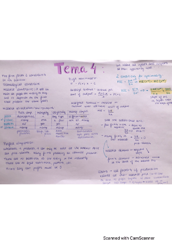 Miniatura del documento Resumen-Tema-4.pdf