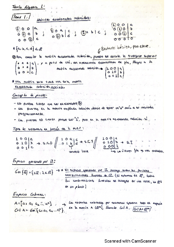 Miniatura del documento TEORIA.pdf