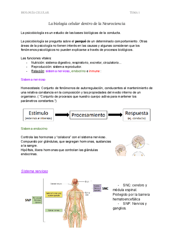 Miniatura del documento Biologia-Celular-Tema-1.pdf