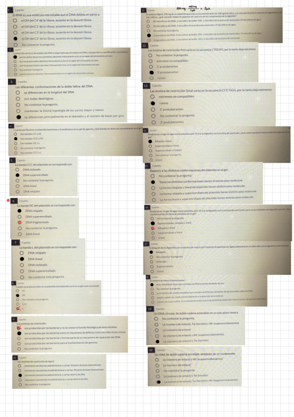 Miniatura del documento Cuestionario-Laboratorio-Genetica-.pdf